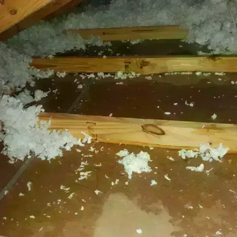 Attic Water Damage in Airmont, NY