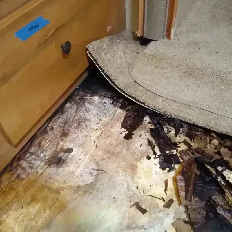 Wood Floor Water Damage in Airmont, NY